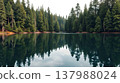 Pristine alpine lake with emerald green water and pine forest reflection 137988024