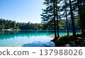 Pristine alpine lake with emerald green water and pine forest reflection 137988026