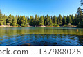 Pristine alpine lake with emerald green water and pine forest reflection 137988028
