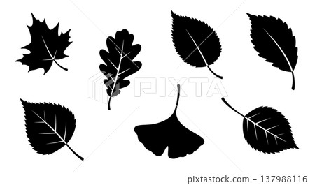 Black Solid Fallen Autumn Leaves Silhouettes Set of Six on White Background Black Solid Fallen Autumn Leaves Silhouettes Set of Six on White Background 137988116