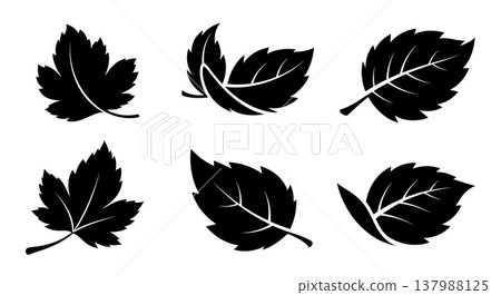 Black Solid Falling Autumn Leaf Silhouettes in Motion Set of Six Black Solid Falling Autumn Leaf Silhouettes in Motion Set of Six 137988125