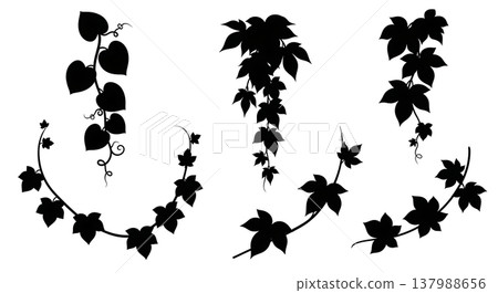 Black Solid Filled Vine Plant Silhouettes Set of Six Black Solid Filled Vine Plant Silhouettes Set of Six 137988656