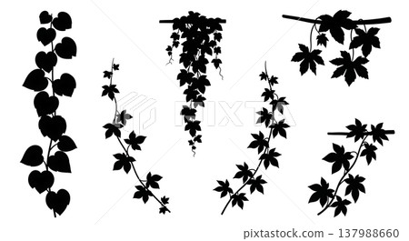 Black Solid Filled Vine Plant Silhouettes Set of Six 137988660