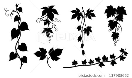 Black Solid Filled Vine Plant Silhouettes Set of Six Black Solid Filled Vine Plant Silhouettes Set of Six 137988662