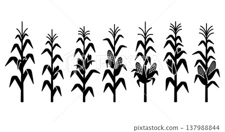 Black Solid Corn Stalk and Maize Plant Silhouettes Set of Six 137988844