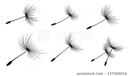 Assortment of Six Dandelion Seed Silhouettes in the Wind Assortment of Six Dandelion Seed Silhouettes in the Wind 137989016