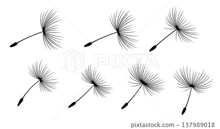 Assortment of Six Dandelion Seed Silhouettes in the Wind Assortment of Six Dandelion Seed Silhouettes in the Wind 137989018
