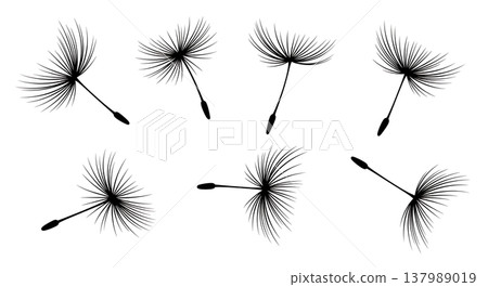 Assortment of Six Dandelion Seed Silhouettes in the Wind Assortment of Six Dandelion Seed Silhouettes in the Wind 137989019