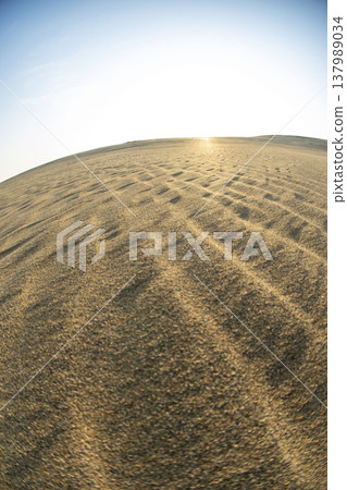 Tottori Sand Dunes: A beautiful sunrise scene Tottori Sand Dunes: A beautiful sunrise scene 137989034