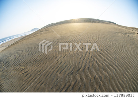 Tottori Sand Dunes: A beautiful sunrise scene Tottori Sand Dunes: A beautiful sunrise scene 137989035