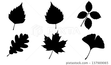 Assorted Black Solid Deciduous Leaf Silhouettes Set of Six Assorted Black Solid Deciduous Leaf Silhouettes Set of Six 137989065