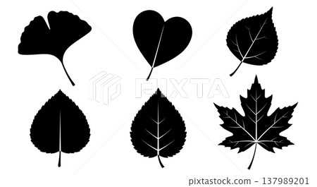 Set of Six Black Solid Distinctive Tree Leaf Silhouettes 137989201