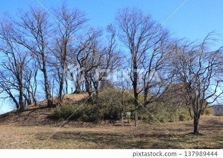 Tsukayama Minami Kofun (ancient burial mound) 137989444