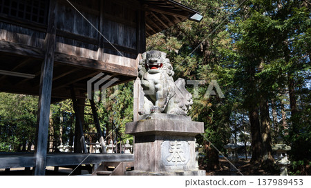 Snapshot of a shrine grounds, Nagano Prefecture Snapshot of a shrine grounds, Nagano Prefecture 137989453