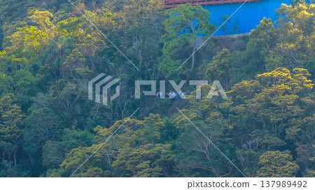 Lugard Road Lookout Panoramic Viewpoint Victoria Peak March 15 2026 137989492