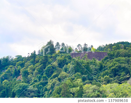 Summer scenery of Aobayama and Aoba Castle ruins 137989638
