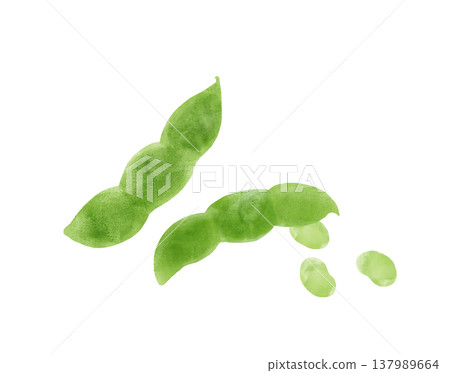 水彩插畫描繪了毛豆，豆粒彷彿要從土壤中探出頭來。毛豆是完美的零食或夏季蔬菜。 137989664