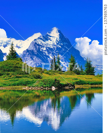 從格林德瓦爾德村可以欣賞到艾格峰北壁的壯麗景色。 從格林德瓦爾德村可以欣賞到艾格峰北壁的壯麗景色。 137989763