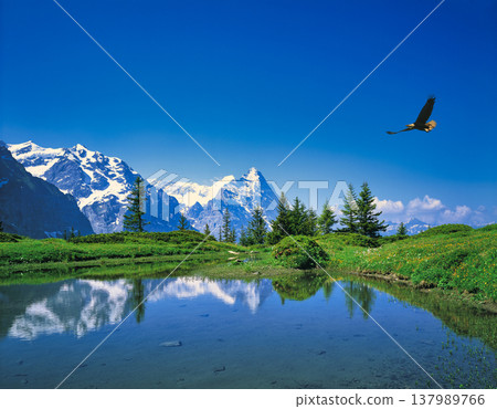 Spectacular view of the North Face of the Eiger from the village of Grindelwald 137989766