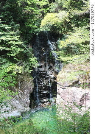 A rocky waterfall surrounded by fresh greenery and an emerald green waterside landscape. A rocky waterfall surrounded by fresh greenery and an emerald green waterside landscape. 137989776