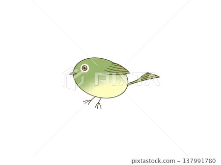Illustration of a Japanese white-eye bird facing sideways 137991780