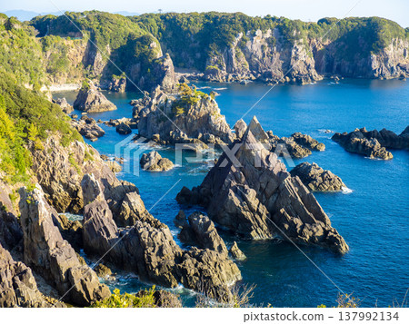 海剛果(和歌山縣串本町) 海剛果(和歌山縣串本町) 137992134