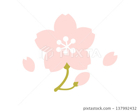 簡單的櫻花花瓣插圖 - 春季圖標素材 簡單的櫻花花瓣插圖 - 春季圖標素材 137992432