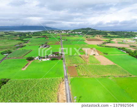 糖路（沖繩縣小濱島） 137992504