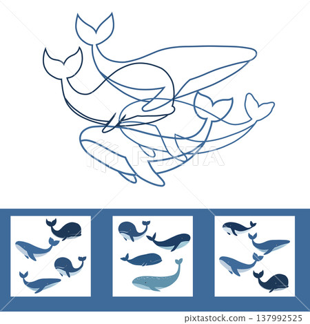 Vector educational game. Find the correct outline of the whales. Challenge task. Practical sheet for kindergarten 137992525