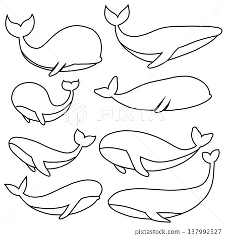 Vector set of outline whales in various poses. Collection of marine life clip art 137992527
