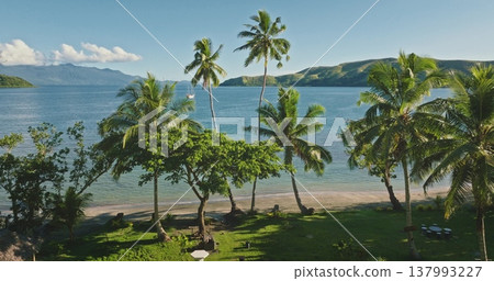 Fiji island beach tranquil tropical landscape with palm trees on sandy shore, expansive blue ocean and distant mountains under a clear blue sky. Aerial view drone flight over exotic nature paradise Fiji island beach tranquil tropical landscape with palm trees on sandy shore, expansive blue ocean and distant mountains under a clear blue sky. Aerial view drone flight over exotic nature paradise 137993227
