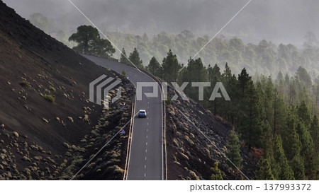 Tenerife, Canary Islands: Aerial view mountain road through volcanic landscapes and pine forests near Mount Teide on a foggy day in Tenerife. Travel, vacation, nature background. Aerial drone Tenerife, Canary Islands: Aerial view mountain road through volcanic landscapes and pine forests near Mount Teide on a foggy day in Tenerife. Travel, vacation, nature background. Aerial drone 137993372