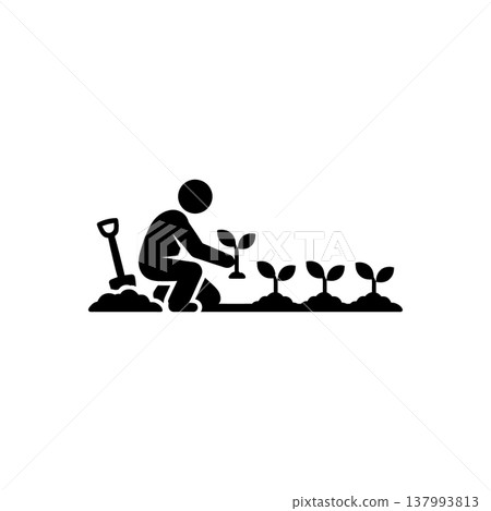 Manual Seedling Planting Process Icon 137993813