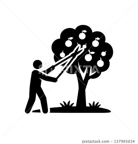 Orchard Pruning Harvest Icon 137993834