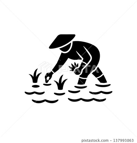Rice Paddy Transplanting Activity Icon Rice Paddy Transplanting Activity Icon 137993863