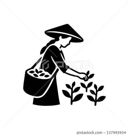 Tea Leaf Harvest Selection Icon 137993934