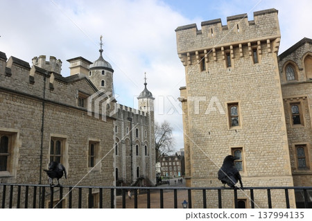 A European castle scene featuring historic stone architecture and crows. A European castle scene featuring historic stone architecture and crows. 137994135