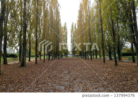Park in Malesnica residential area, Zagreb, Croatia Park in Malesnica residential area, Zagreb, Croatia 137994376