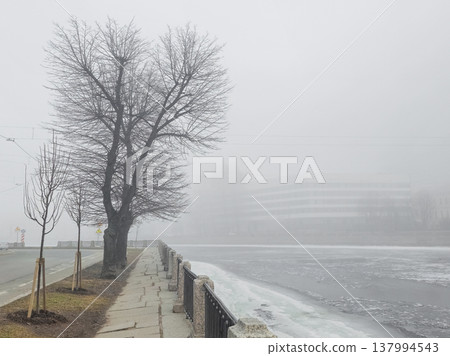 Misty fog blankets a quiet riverside path 137994543