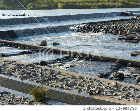 大和川柏原堰的堰壩和魚梯 大和川柏原堰的堰壩和魚梯 137994750