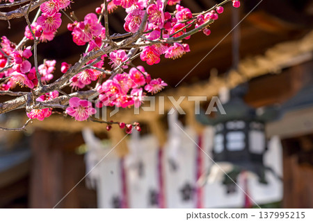 260321 飛鎢天滿宮 m075 137995215