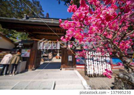 260321 Hida Tenmangu Shrine s029 137995230