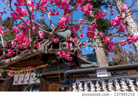 260321 飛鎢天滿宮 z009 137995258