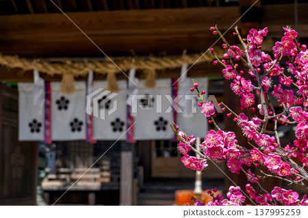 260321 飛鎢天滿宮 z015 137995259