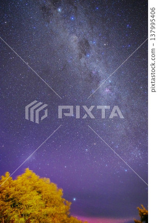 南十字星(假十字星) 南十字星(假十字星) 137995406