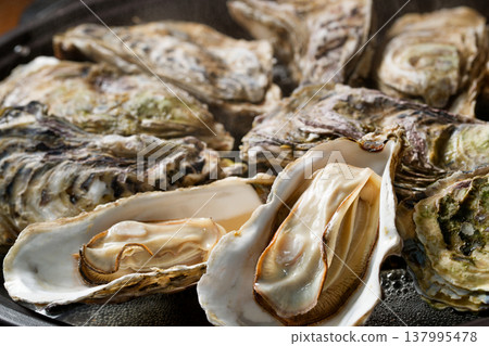 Steamed oysters 137995478