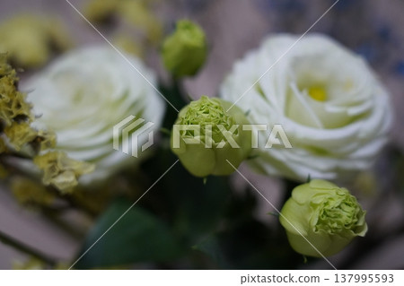 White Lisianthus Flowers Floral Arrangement Closeup White Lisianthus Flowers Floral Arrangement Closeup 137995593