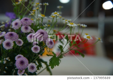 Purple and White Flowers Blooming in a Garden Purple and White Flowers Blooming in a Garden 137995689