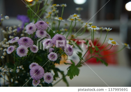 Purple and White Daisies Floral Arrangement Indoors Purple and White Daisies Floral Arrangement Indoors 137995691