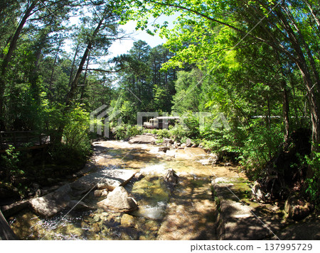 A stream surrounded by greenery and a tourist trolley 137995729